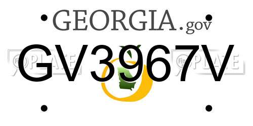GV3967V Georgia License Plate