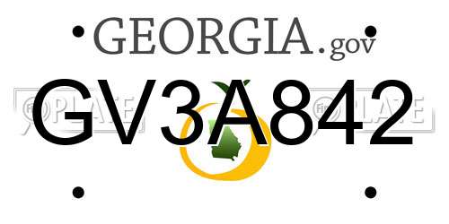 GV3A842 Georgia License Plate