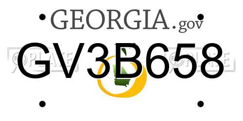 GV3B658 Georgia License Plate