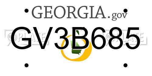 GV3B685 Georgia License Plate
