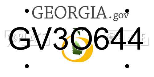 GV3O644 Georgia License Plate