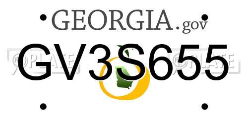 GV3S655 Georgia License Plate