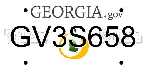 GV3S658 Georgia License Plate