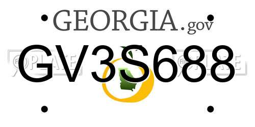 GV3S688 Georgia License Plate