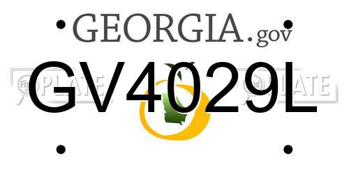 GV4029L Georgia License Plate