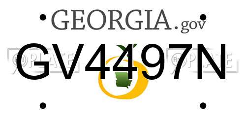 GV4497N Georgia License Plate