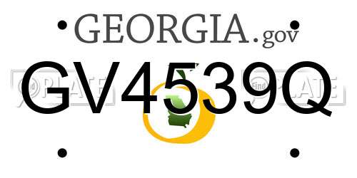 GV4539Q Georgia License Plate