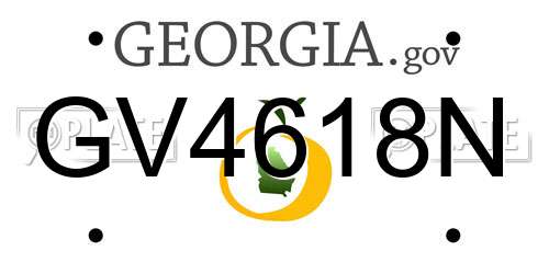 GV4618N Georgia License Plate