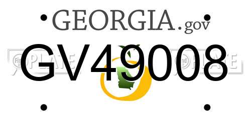 GV49008 Georgia License Plate