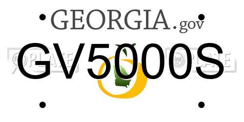 GV5000S Georgia License Plate