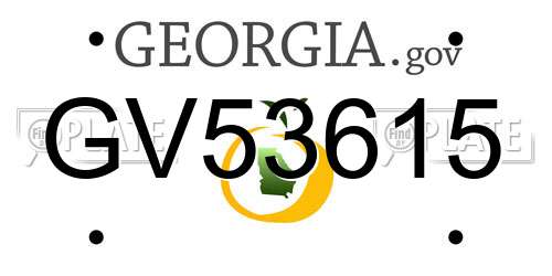 GV53615 Georgia License Plate
