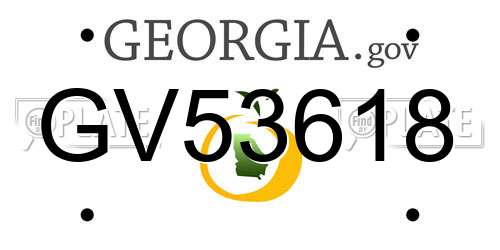 GV53618 Georgia License Plate