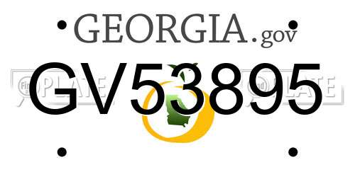 GV53895 Georgia License Plate