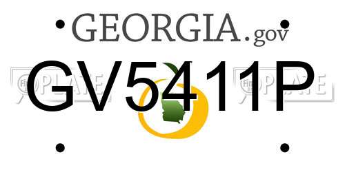 GV5411P Georgia License Plate