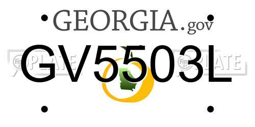 GV5503L Georgia License Plate