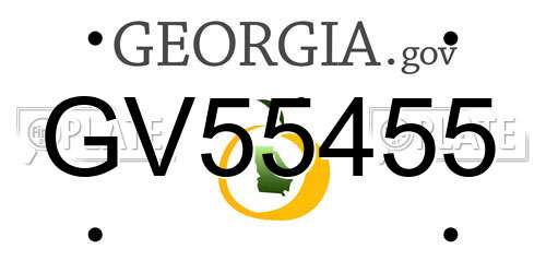 GV55455 Georgia License Plate