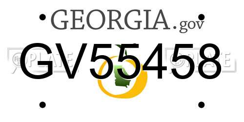 GV55458 Georgia License Plate