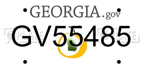 GV55485 Georgia License Plate