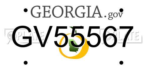 GV55567 Georgia License Plate