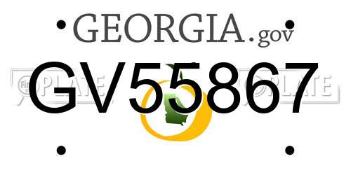 GV55867 Georgia License Plate
