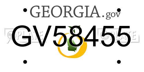 GV58455 Georgia License Plate