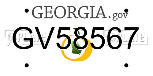 GV58567 Georgia License Plate