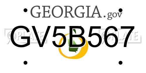 GV5B567 Georgia License Plate