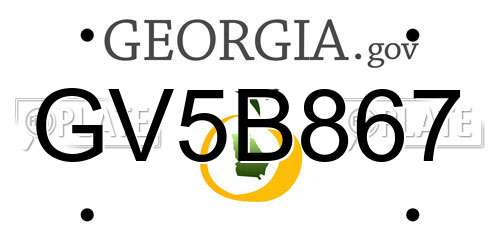 GV5B867 Georgia License Plate