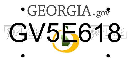 GV5E618 Georgia License Plate