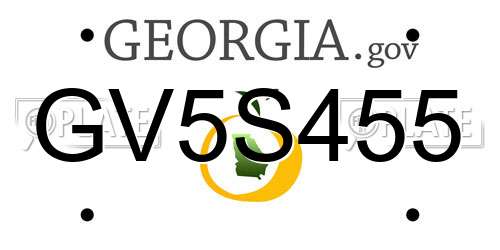 GV5S455 Georgia License Plate