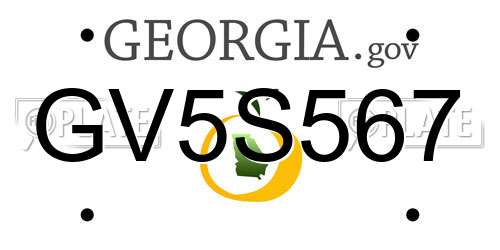 GV5S567 Georgia License Plate