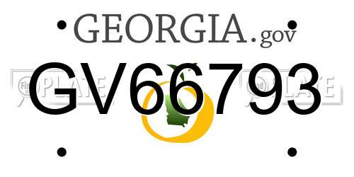 GV66793 Georgia License Plate
