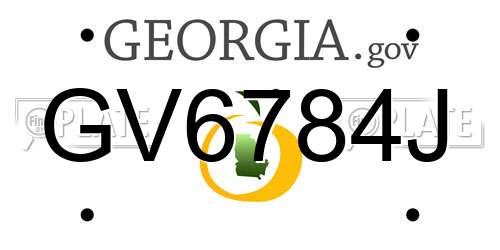 GV6784J Georgia License Plate
