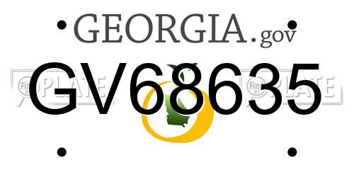 GV68635 Georgia License Plate