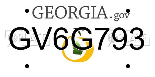 GV6G793 Georgia License Plate
