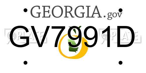 GV7991D Georgia License Plate