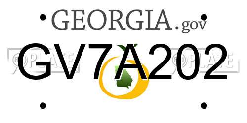 GV7A202 Georgia License Plate