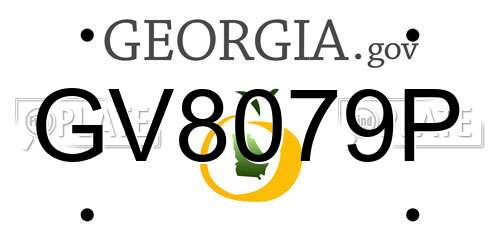 GV8079P Georgia License Plate