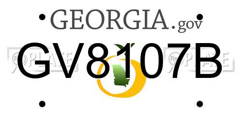 GV8107B Georgia License Plate