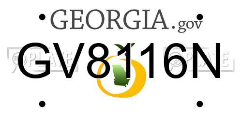 GV8116N Georgia License Plate