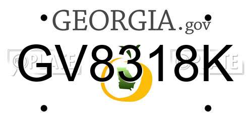 GV8318K Georgia License Plate