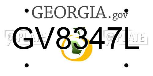 GV8347L Georgia License Plate