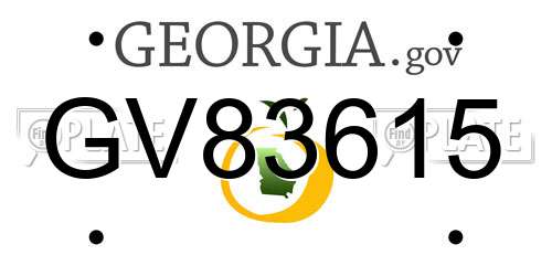 GV83615 Georgia License Plate