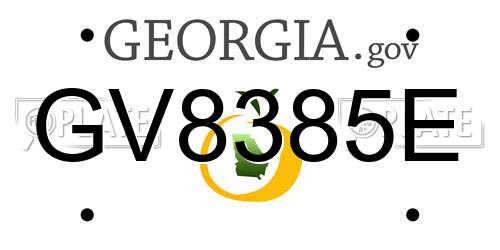 GV8385E Georgia License Plate