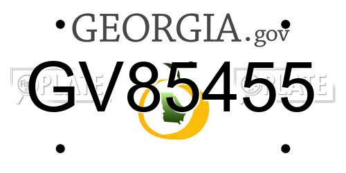 GV85455 Georgia License Plate