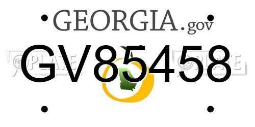 GV85458 Georgia License Plate