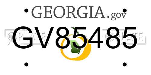 GV85485 Georgia License Plate