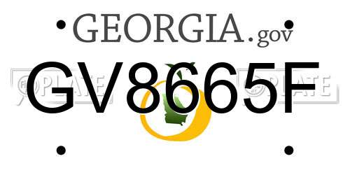 GV8665F Georgia License Plate