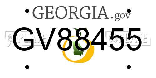 GV88455 Georgia License Plate