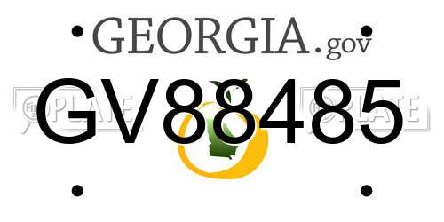 GV88485 Georgia License Plate
